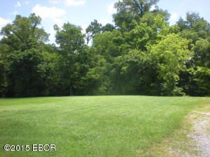 000 Brian 23, Murphysboro, IL 62966